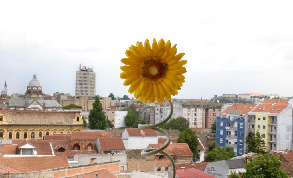 Panorama City Inn Karlofça Dış mekan fotoğraf